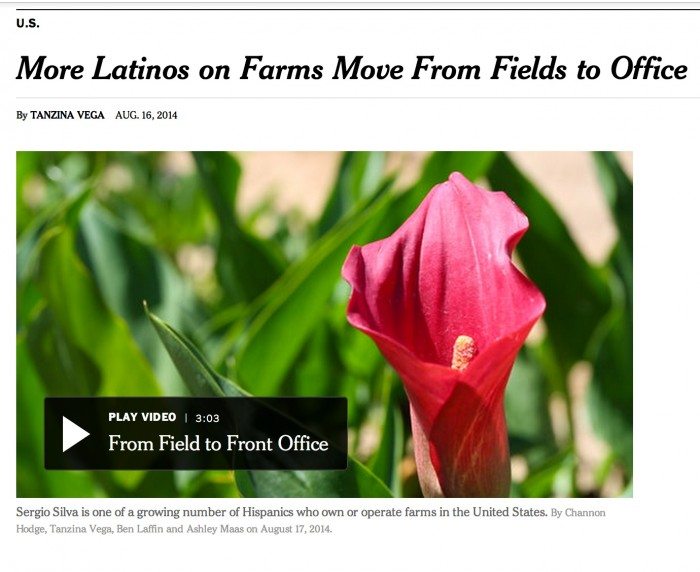 NYTimesHeadline