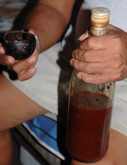 Peruvian Ayahuasca (Photo by Sascha Grabow)