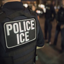 60+ Organizations Call on DHS Secretary to End ICE’s Gang Prioritization