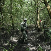 Mexico Finds Clandestine Burial Pits in North, Gulf Coast