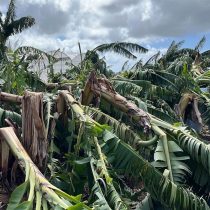 Extreme Weather Caused by Climate Crisis Threatens Puerto Rico's Ability to Feed Itself